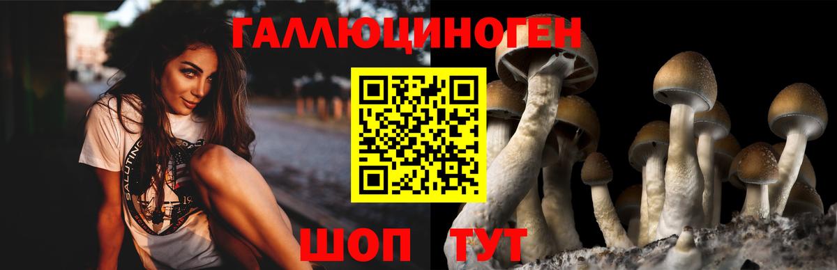 Камышлов  Псилоцибиновые грибы Magic Shrooms  Вход с VPN 